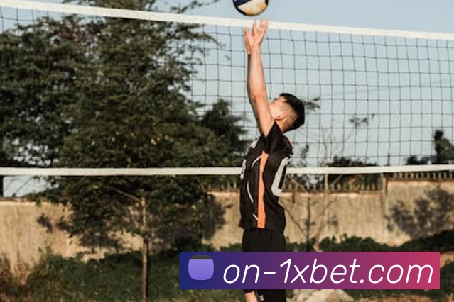 1xbet平台生态图