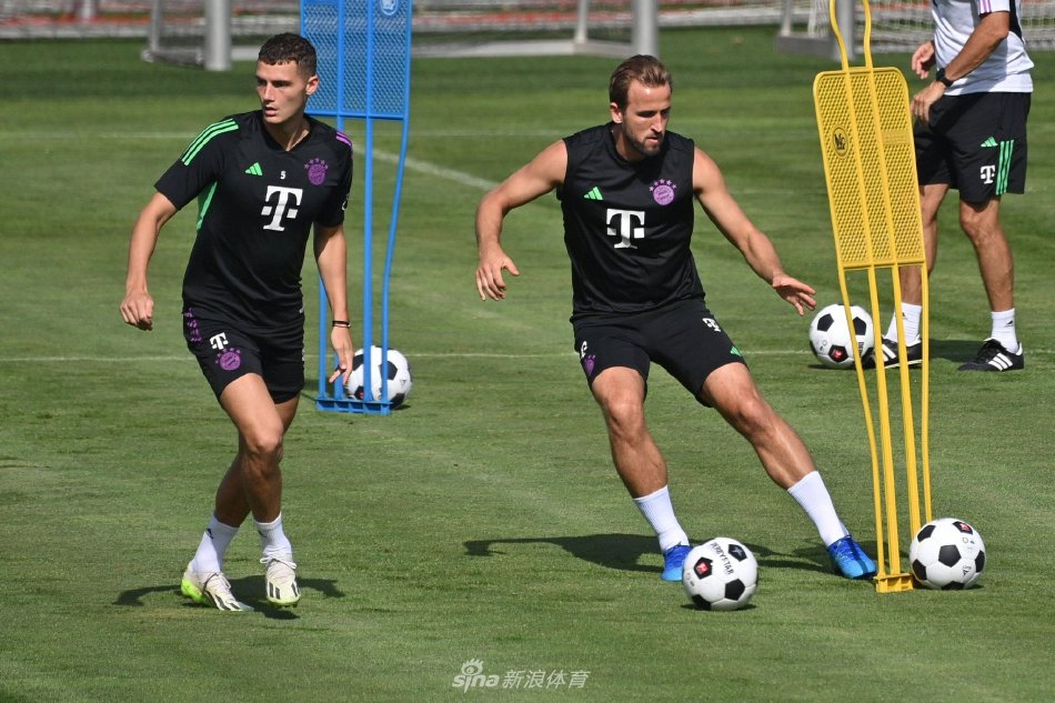 他倾向于把 他倾向于把